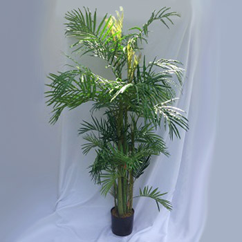 Areca Palm 7' - Artificial Trees/Floor Plants - Hawaiian decoration Minneapolis rentals